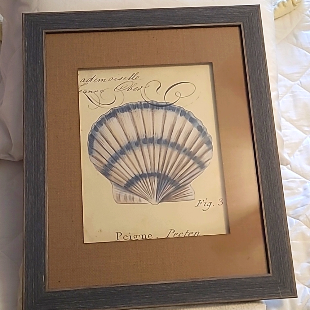 Cottagecore Beach framed antique shell piece
